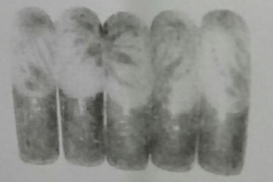 美甲学校 美甲学校