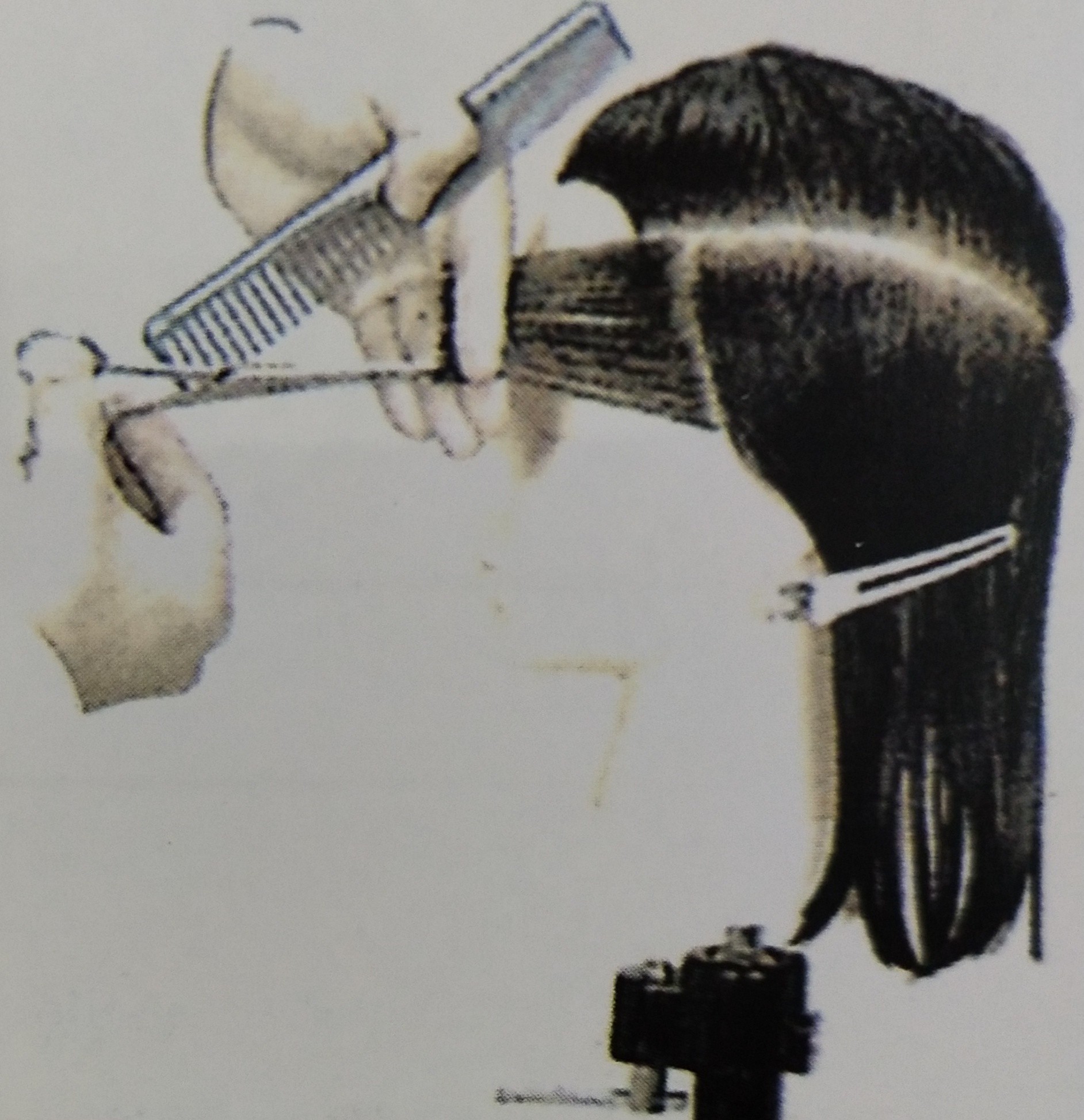 北京美发培训学校 美发培训学校