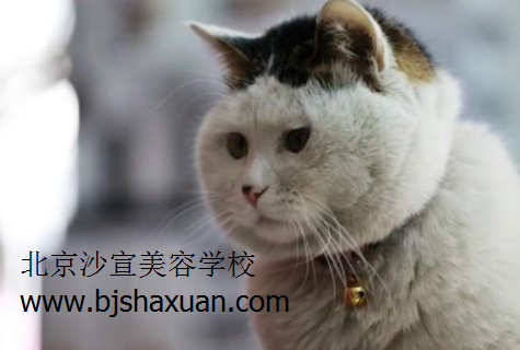 北京美容培训学校 美容培训学校