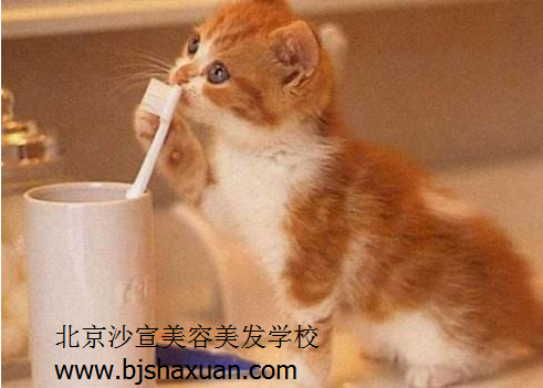 美容美发学校 北京美容美发学校