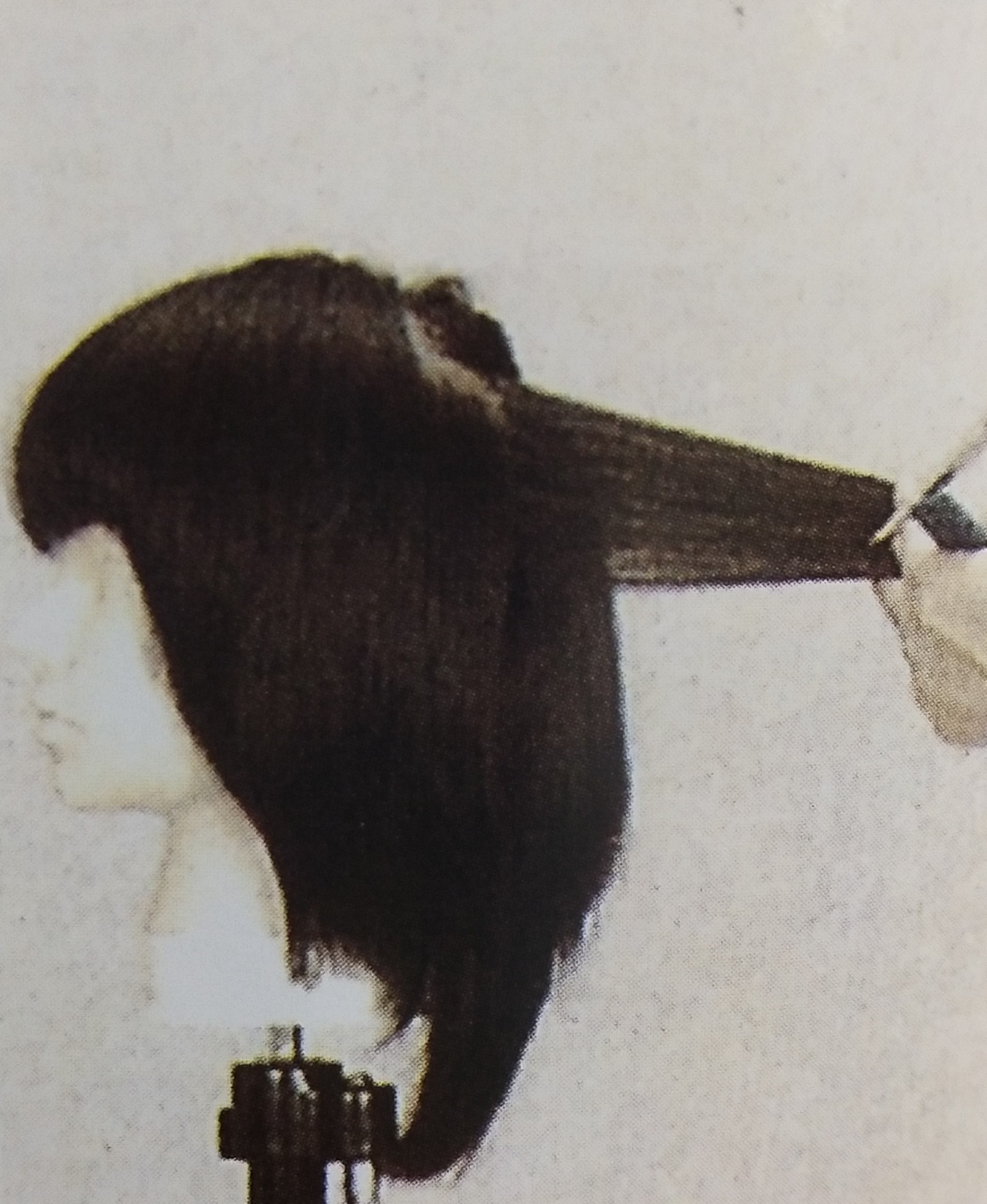 美发学校 美发学校