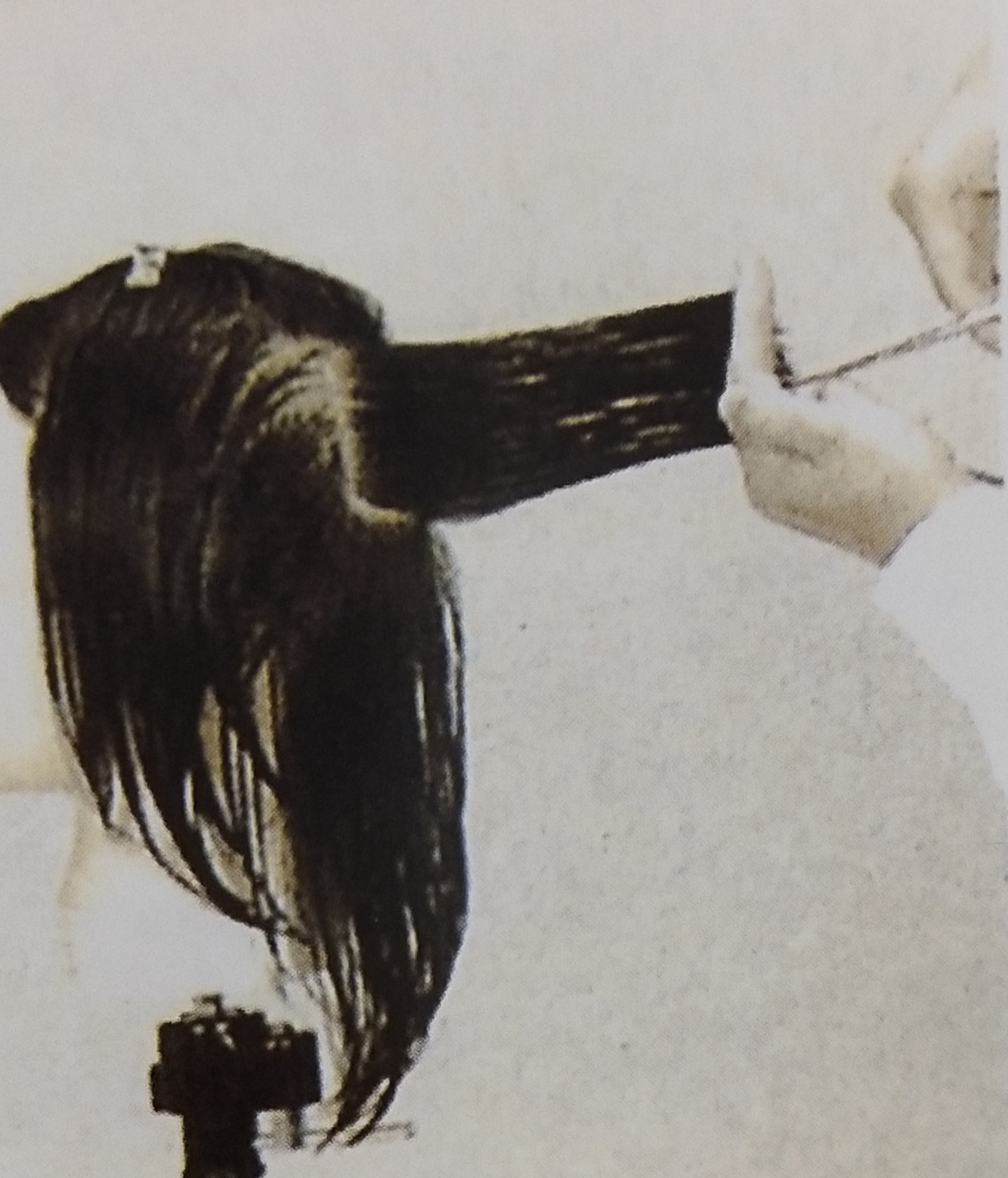 美发培训 美发培训
