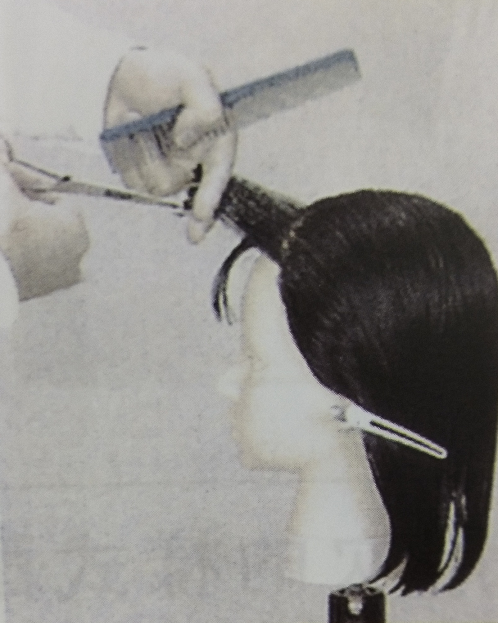 美发培训 美发培训