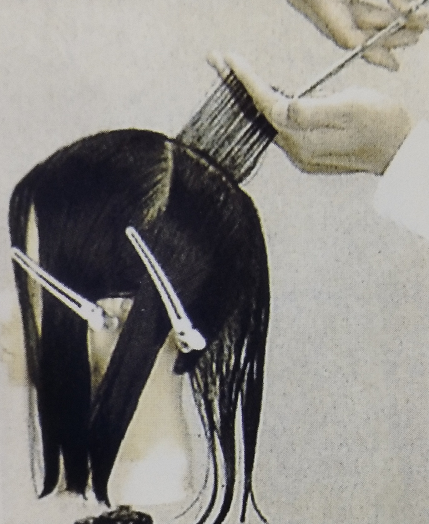 美发学校 美发学校